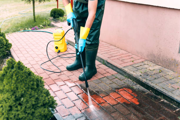 Best Roof Power Washing Services  in Fillmore, CA
